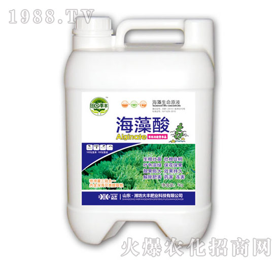 ������-��@���S-���S�ʘI(y��)