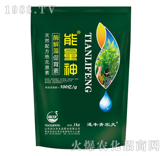 ø���������-������-�����S