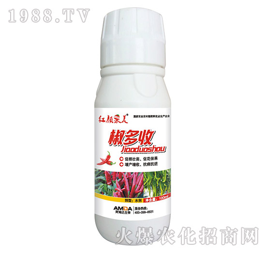 ������-�t���-��ķ�_