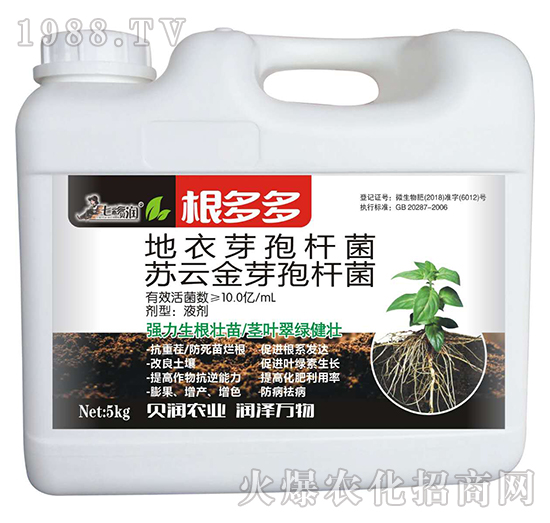 �����-�߲�ؐ��-��ķ�_