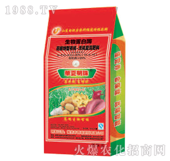 ���ﵰ��ø-������͏�(f��)�����-�������