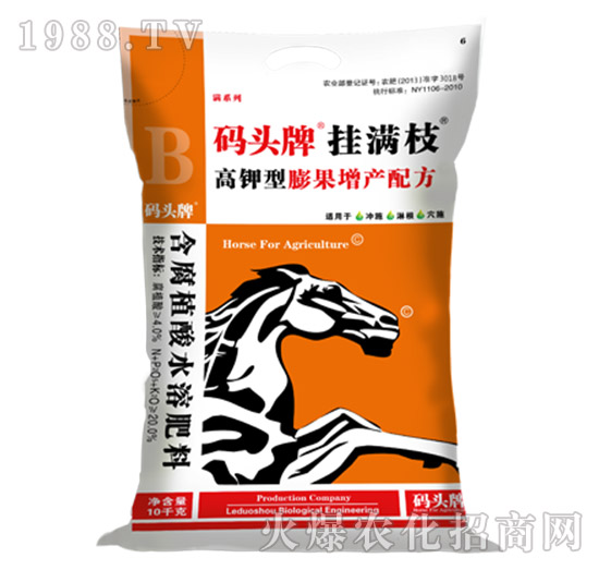 �����������a(ch��n)�䷽-�a�^�ƒ�M֦-������