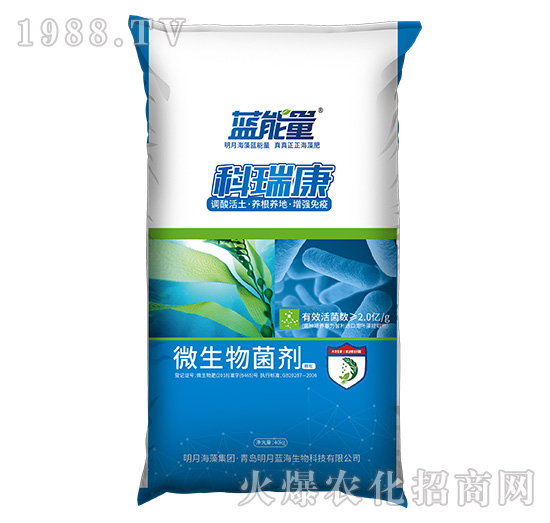 ΢�������-����-�{(l��n)����