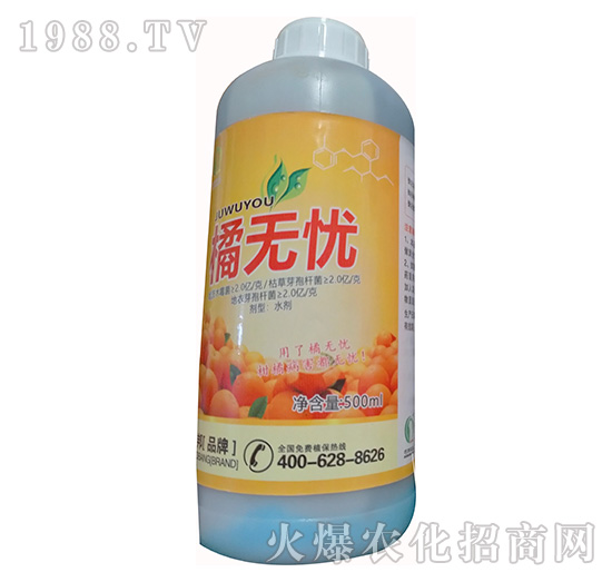 �ٟo(w��)�n(y��u)-�ɰ��r(n��ng)�I(y��)