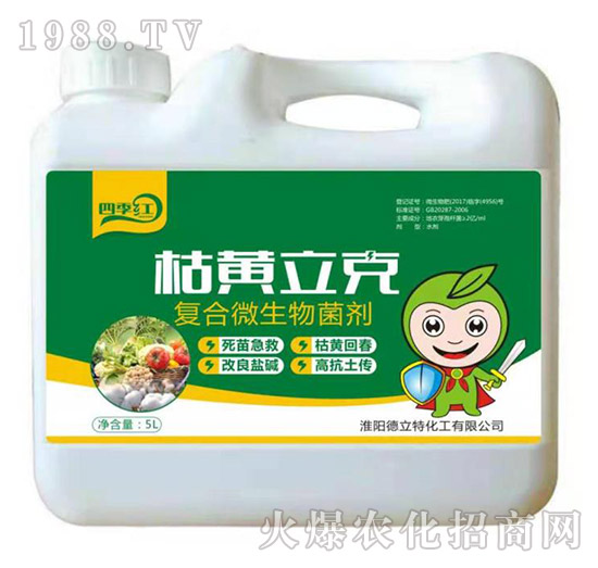 �ͺ�΢�������-���S����-������