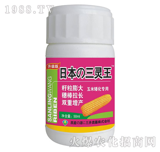 ���װ�������-�ձ����`����50ml��-���ƷʘI(y��)