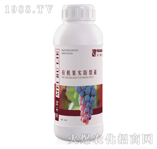 �ЙC(j��)����(sh��)������-������-��٤�z