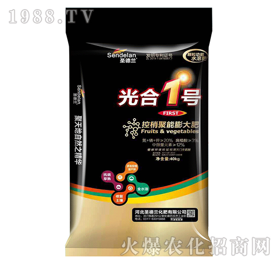 ���Ҿ�������-���1̖(h��o)-ʥ���m