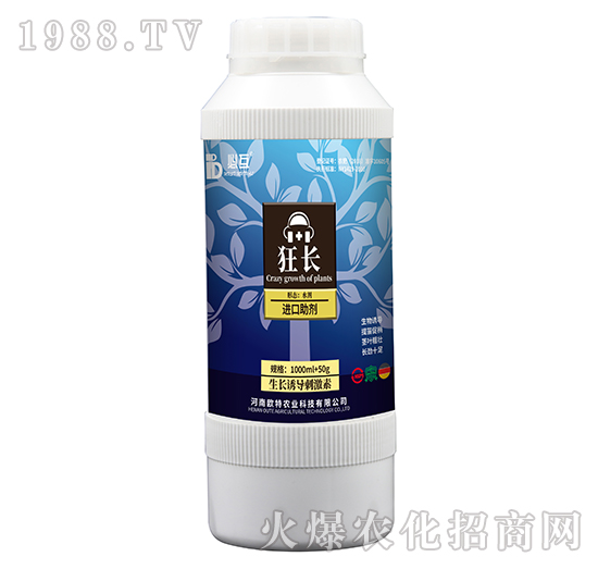 ���L�T����-���L-�W���r�I(y��)