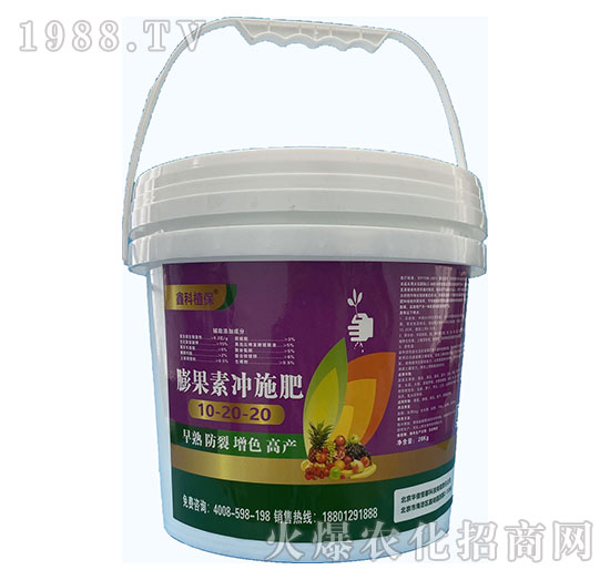 ����؛_ʩ��10-20-20-�ο�ֲ��