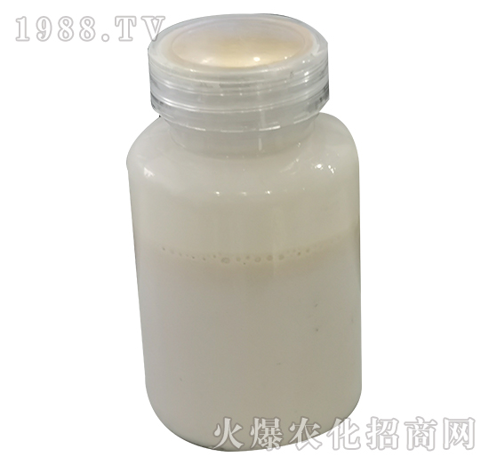 �~���}-���P����