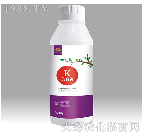 �����-��������