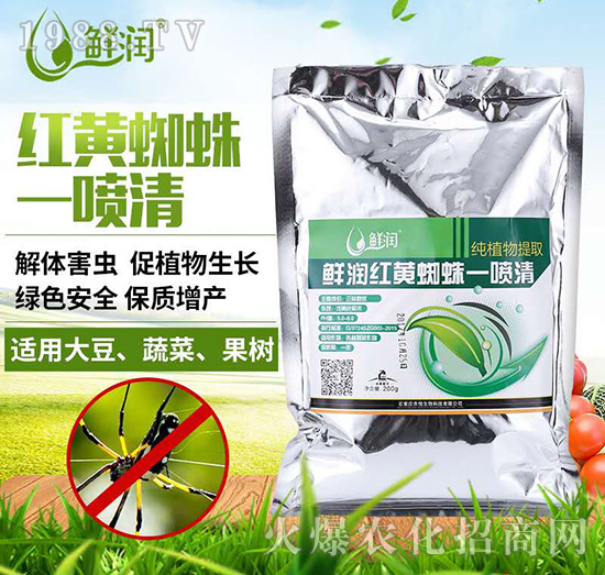 �r��(r��n)�t�S֩��һ����-�r(n��ng)������