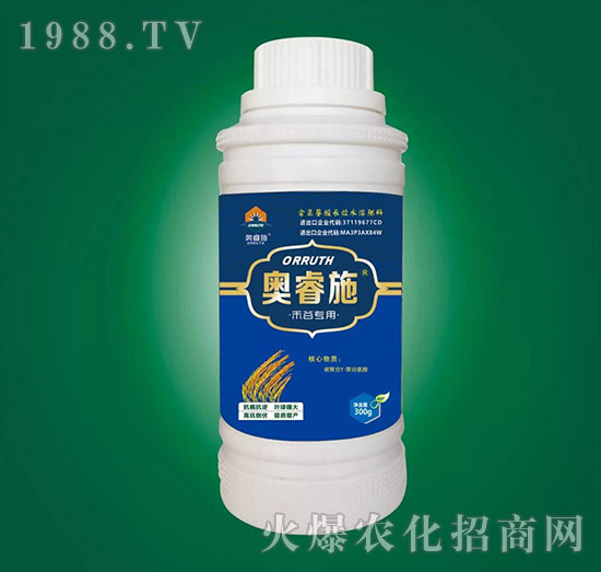 �̹Ȍ����~���-�W�ʩ