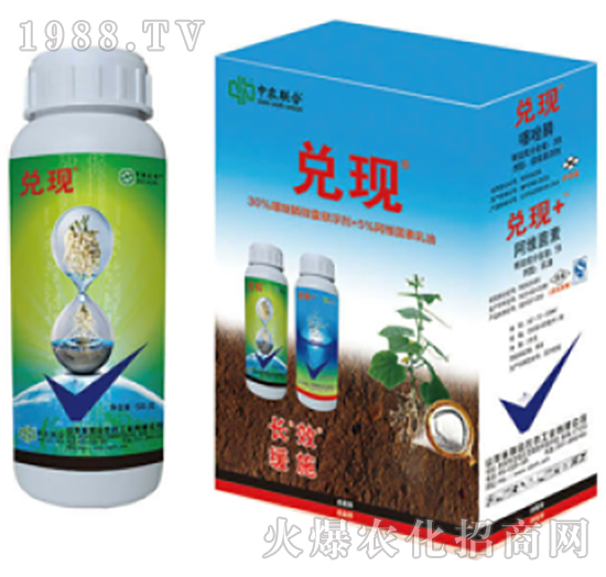 30%�����+5%���S����-���F(xi��n)-���r(n��ng)(li��n)��