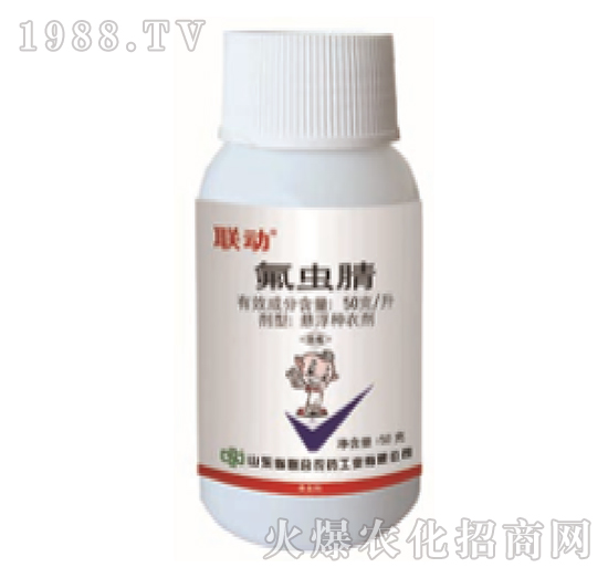 50��ÿ�����x��-(li��n)��-���r(n��ng)(li��n)��