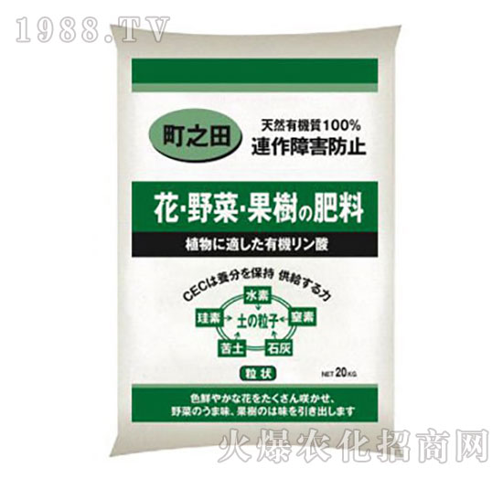 �֮����-����