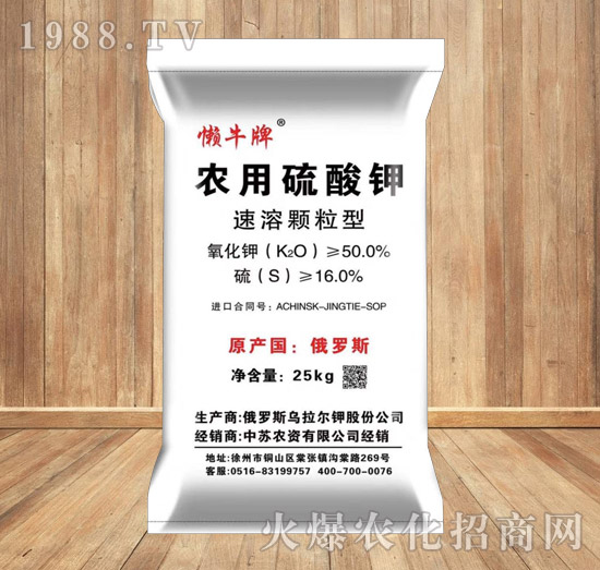 �����w���͑�ţ�����-���K�r�Y