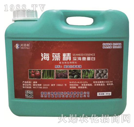 ���徫��~(y��)����-ؐ����