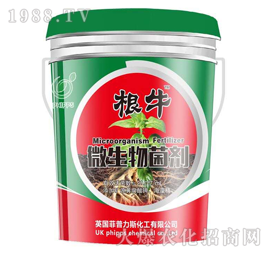 ������˹΢�������-���r(n��ng)�S