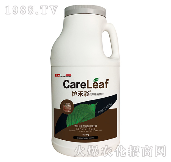 �;���ø����-�o(h��)�̲�-������A