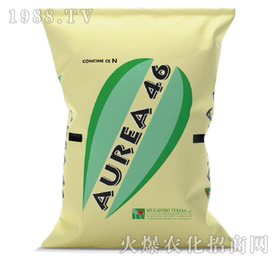 ��٤�_-��ጵ���N46-��ʢ����