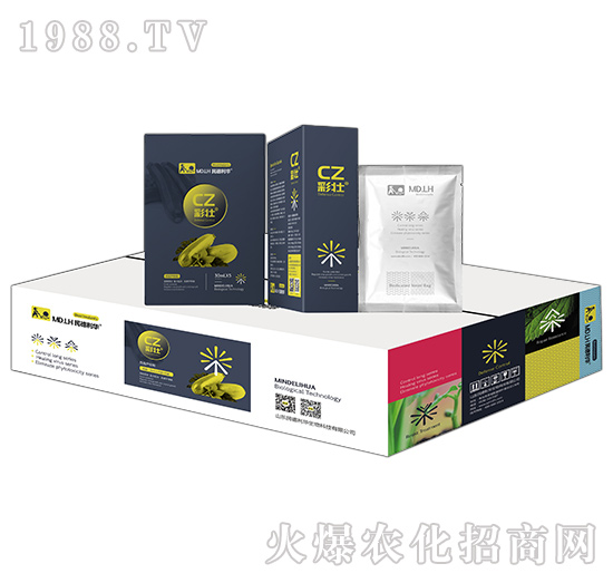 �����J����-�ʉ�-������A