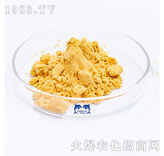 �����ǹ���-���L�`