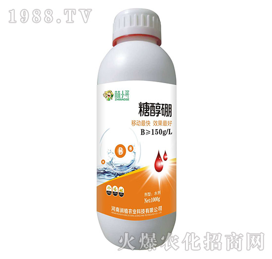 �Ǵ���-��(r��n)ֲ