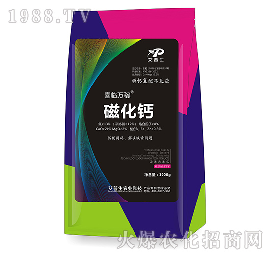 �Ż��}-ϲ�R�f��-������