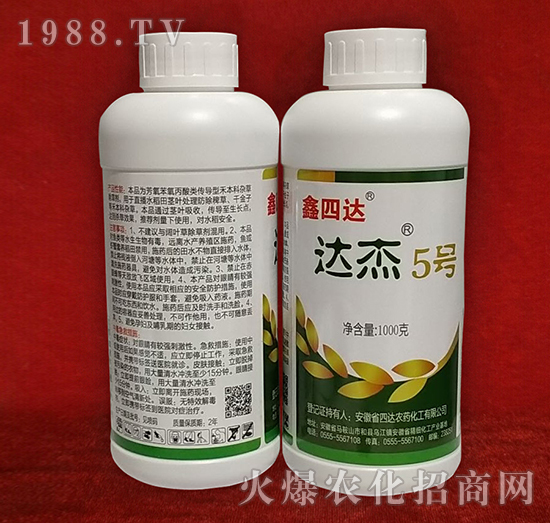 �_��5̖-�����_-���_�r(n��ng)ˎ