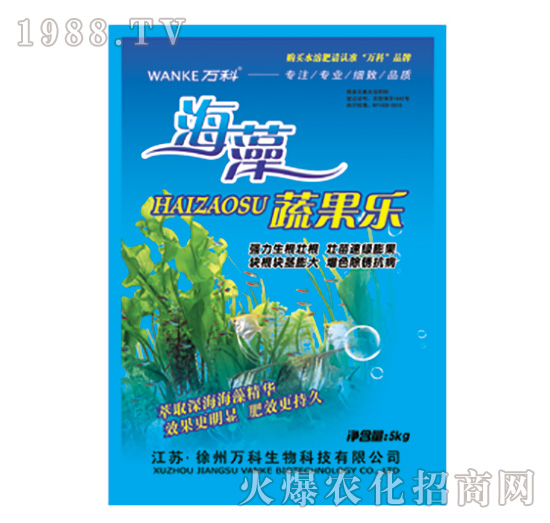 �����߹���-�f��