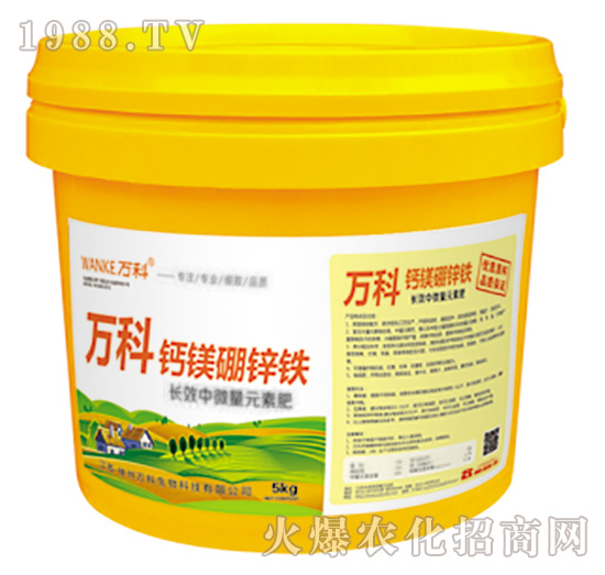 �}�V���\�F-�f��