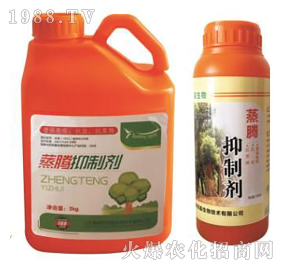 ���v���Ƅ�-�p������