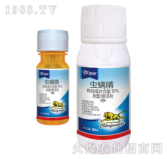 10%�x(ch��ng)����-����