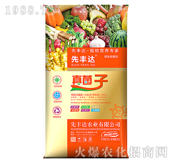 植物營養(yǎng)專家-真菌子-先豐達(dá)