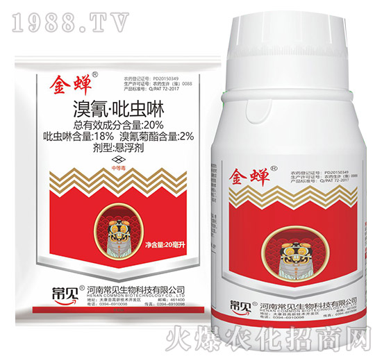 20%���衤���x��-���s-��ʯ����