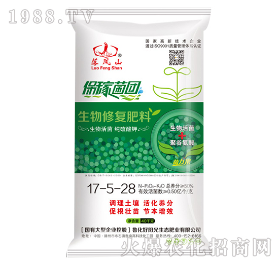 �����ޏͷ���17-5-28-���Pɽ-����