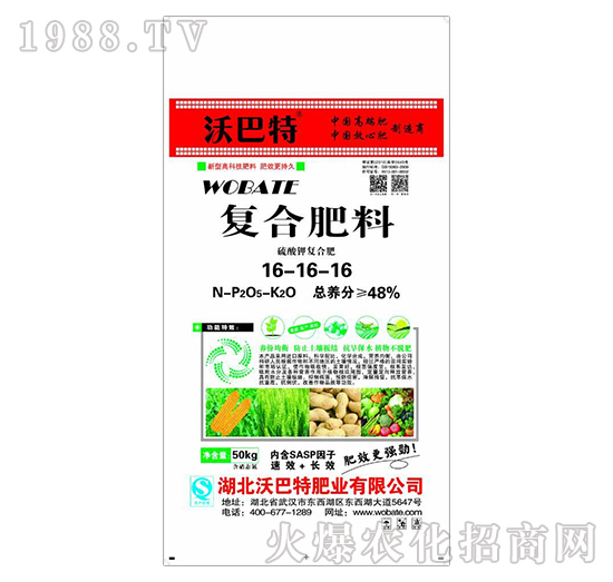 �ͺϷ���16-16-16-�ְ���