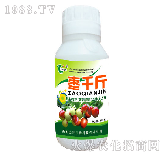 棗千斤-杰翔生物