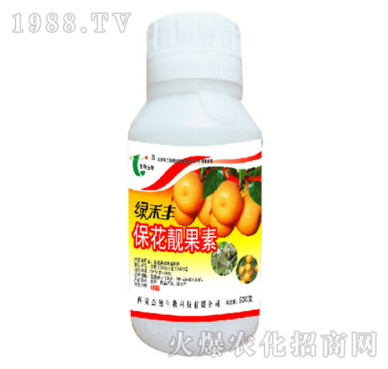 �����n����-�G���S-��������