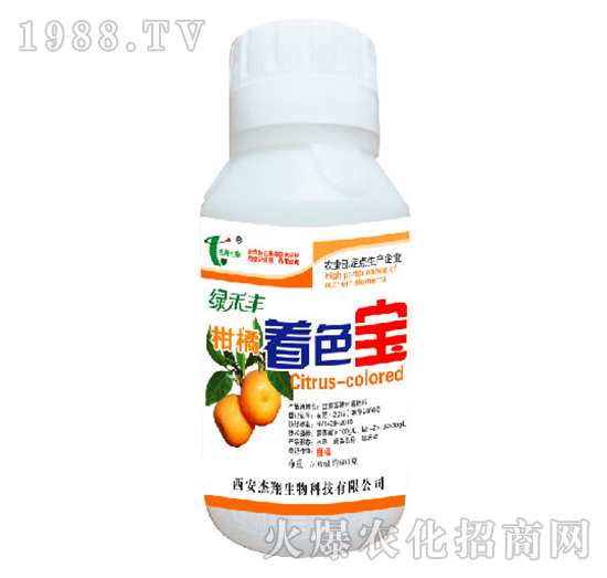 ������ɫ��-�G���S-��������