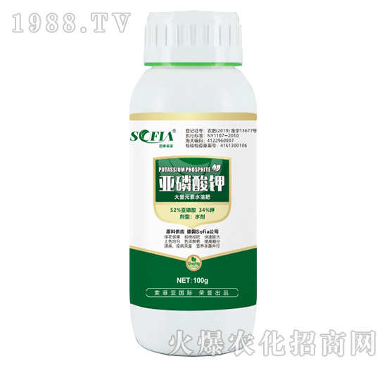 ������⛣�100g��-���Ɓ�