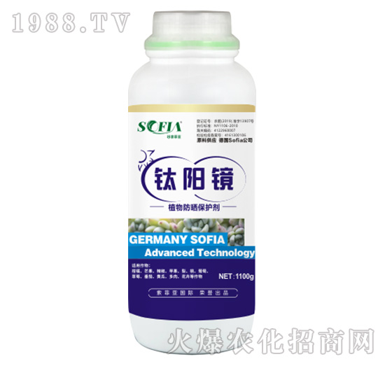 ֲ������o��-���R��1100g��-���Ɓ�