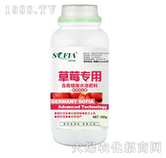 草莓專用含腐植酸水溶肥料-索菲亞