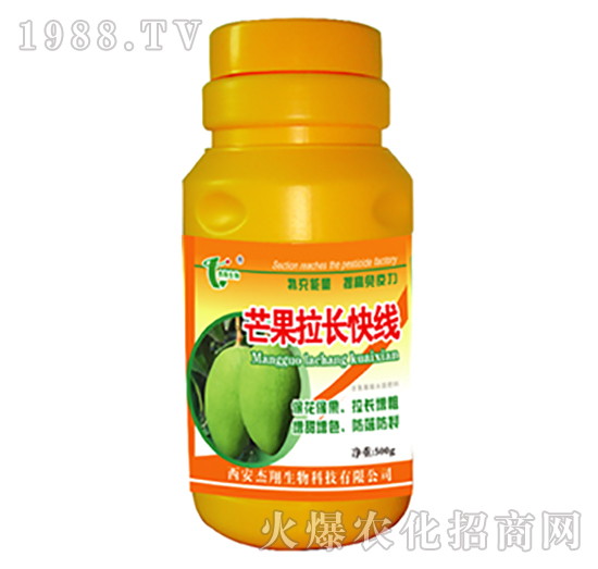 â�����L(zh��ng)�쾀-��������