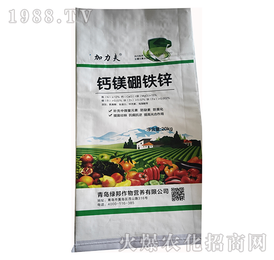 �}�V���F�\-����������