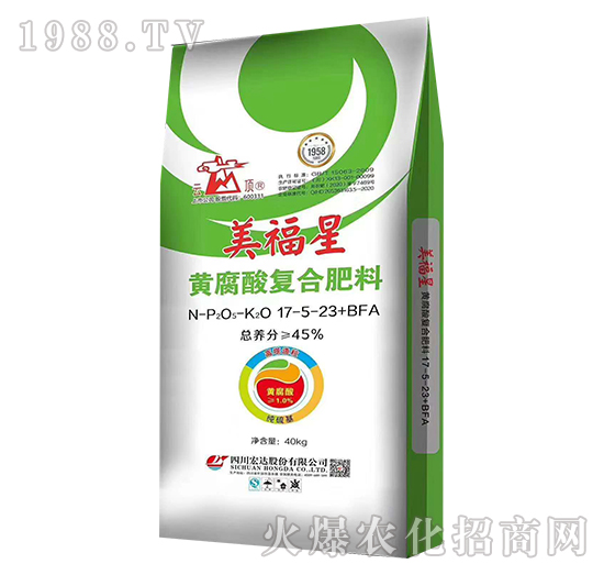 �S����ͺϷ���17-5-23+BFA-������-���_