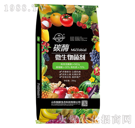 ̼ø��΢�������-�H�i���B(t��i)