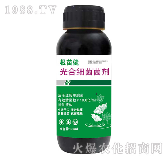 ��ϼ�(x��)������-���罡-����